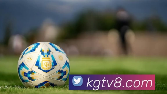 看个球直播官网品牌故事